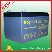 12V14ah Deep Cycle AGM Battery para vehículo utilitario